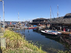 Southlake Seattle, WA